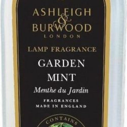 Garden Mint