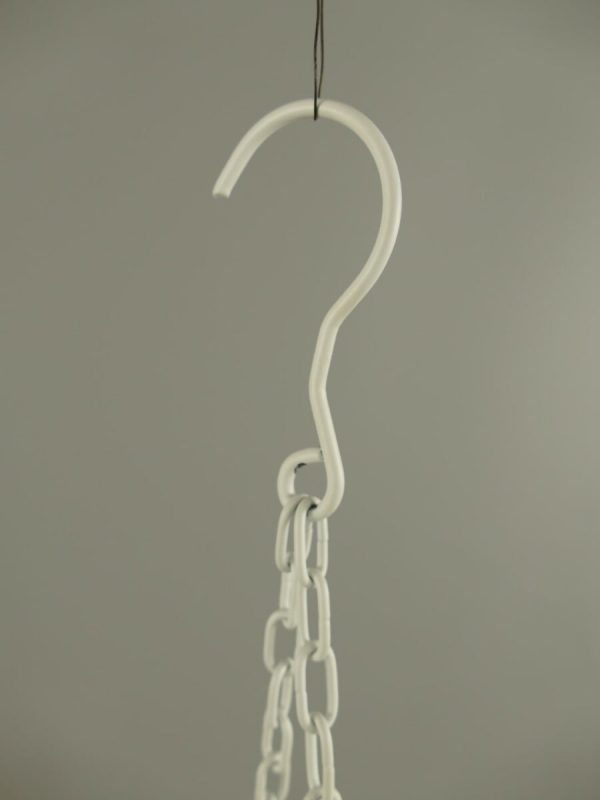 Pannenrek  Wildrek - Afbeelding 3