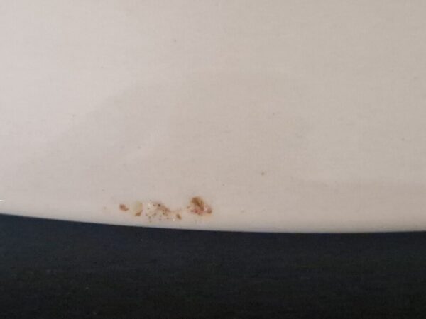 Wedgwood grote vleesschaal - Afbeelding 2