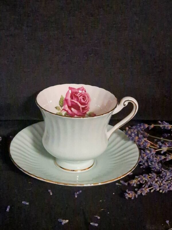 20251028_145504 Paragon Cabbage Rose - Afbeelding 1