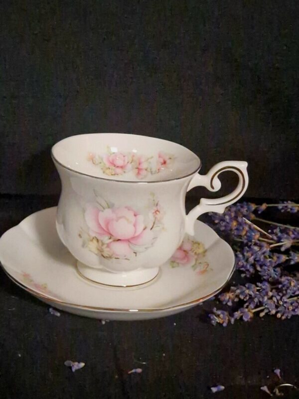 20251028_145633 Royal Canterbury Satsuma kop en schotel - Afbeelding 1