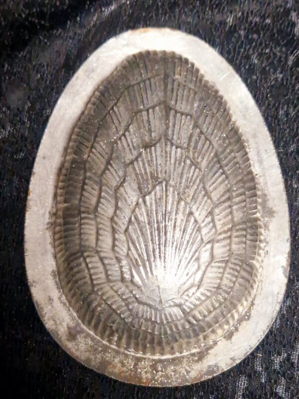 20250205_113117 Chocolademal  schelpenpatroon - Afbeelding 1