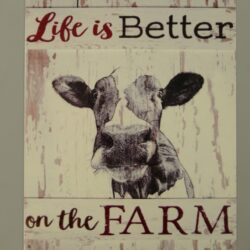 Life is better on the farm