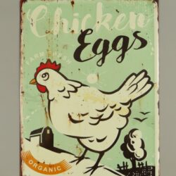 Chicken Eggs