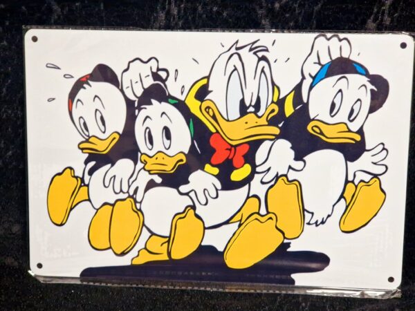 20250305_095946 Donald Duck - Afbeelding 1