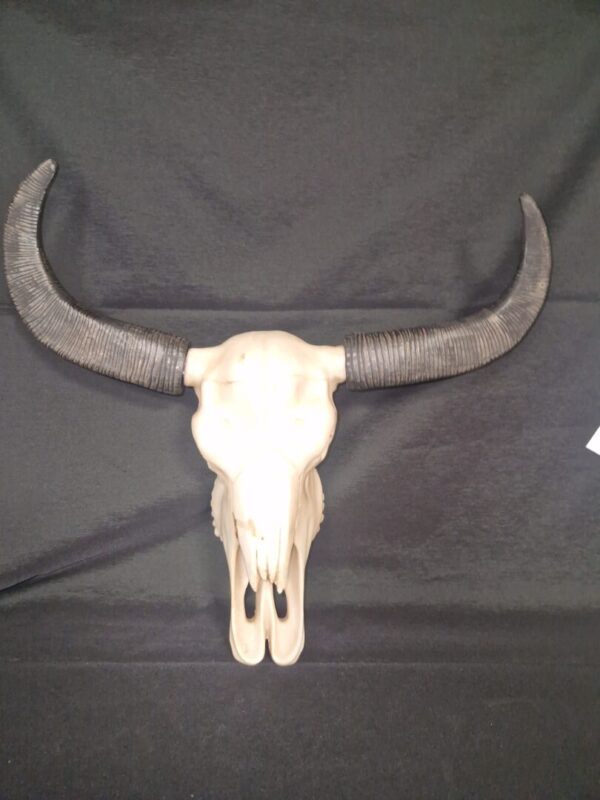 Skull wanddecoratie zwarte hoorn - Afbeelding 3