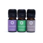 Etherische Olie Breathe - Afbeelding 2