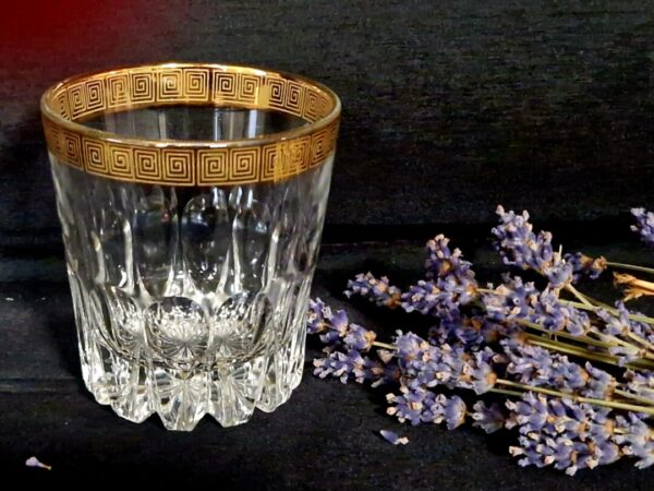 20251026_142945 Schott Zwiesel Naab whiskyglas - Afbeelding 1