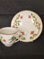 Healiactin Cornuta - Afbeelding 2