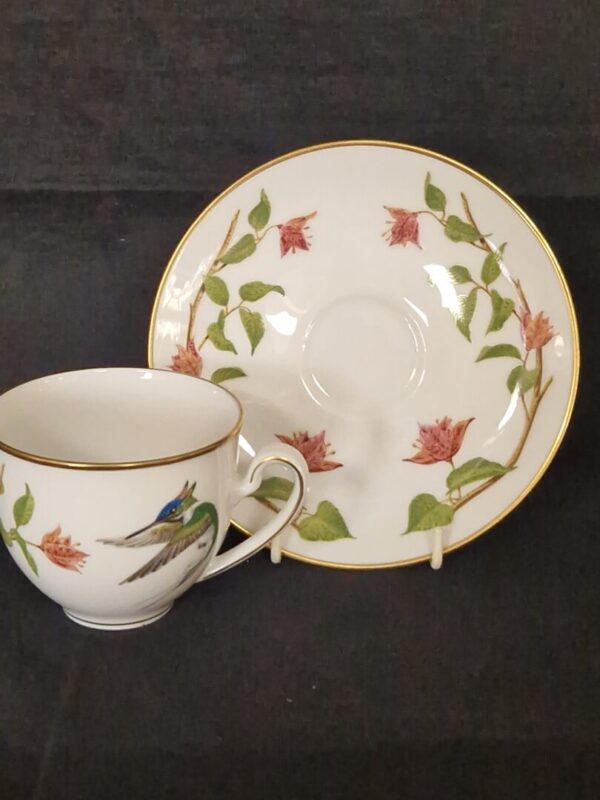 Healiactin Cornuta - Afbeelding 2