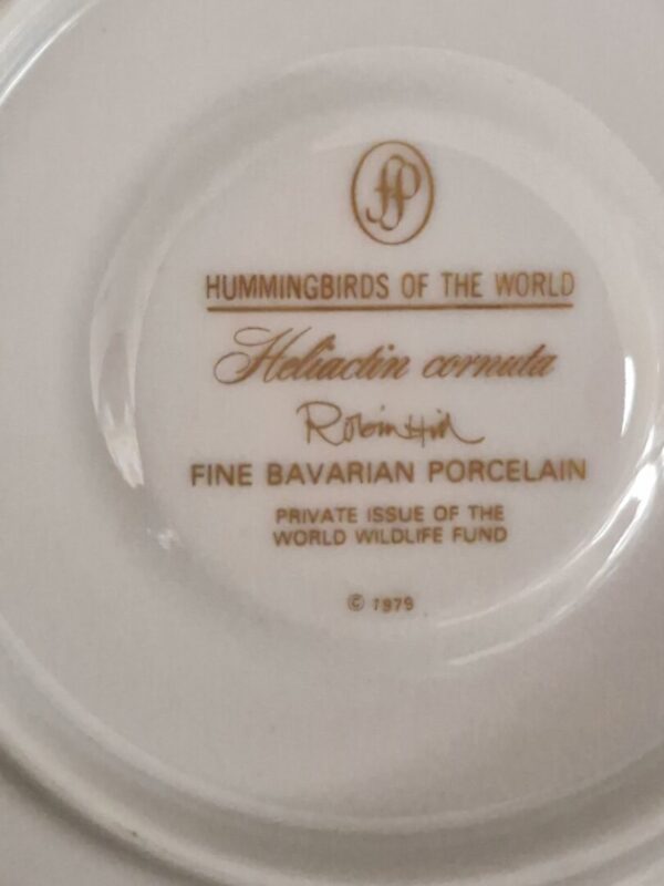 Calypte costae - Afbeelding 3