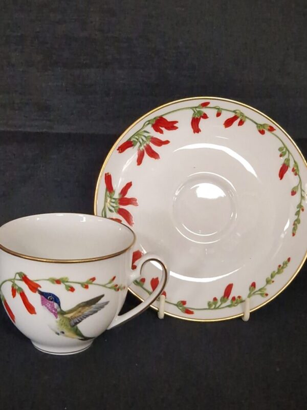 Calypte costae - Afbeelding 2