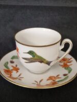 Discosura longicauda