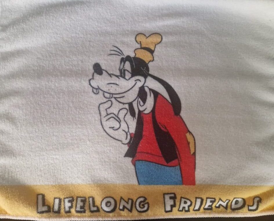 20260125_104607 Goofy gastendoekje - Afbeelding 1