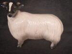 Coopercraft Schaap