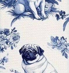 Mopshond gastendoekje