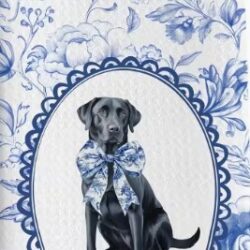 Labrador   gastendoekje