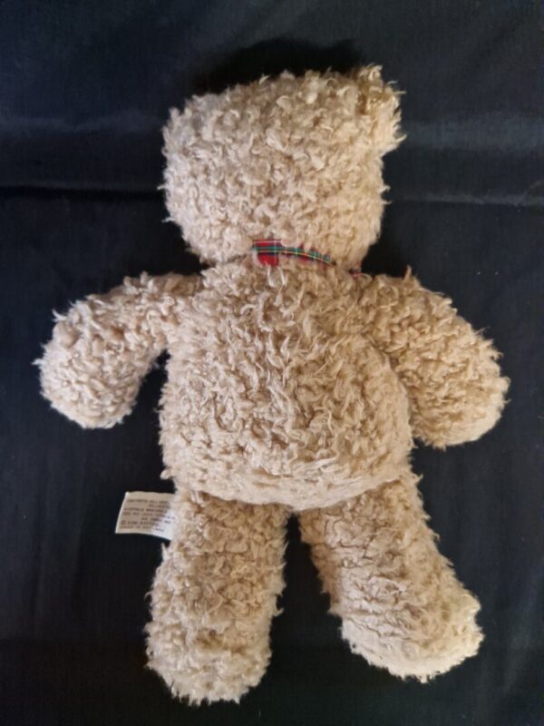 Gina Teddy Beer - Afbeelding 2