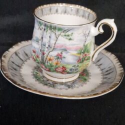 Royal Albert Silver Birch kop en schotel