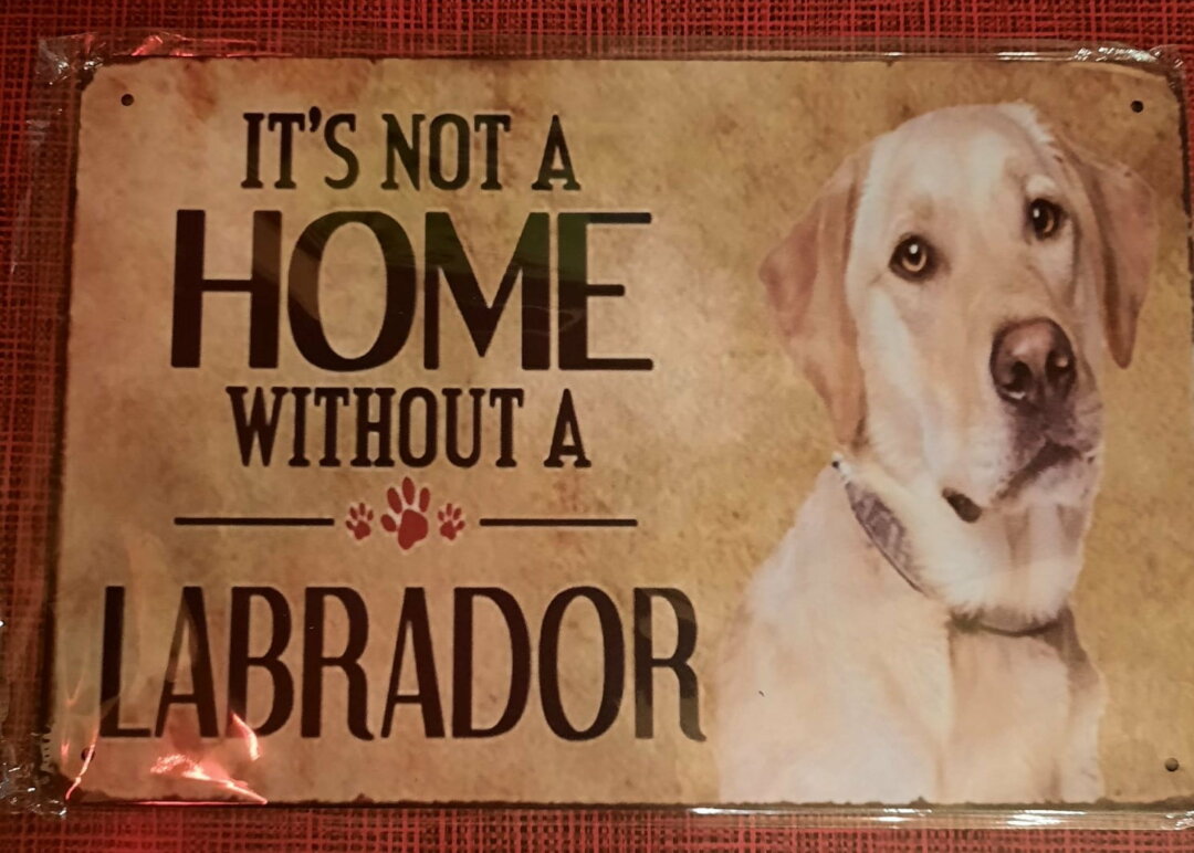 A Home is not a home without a Labrador  L208
