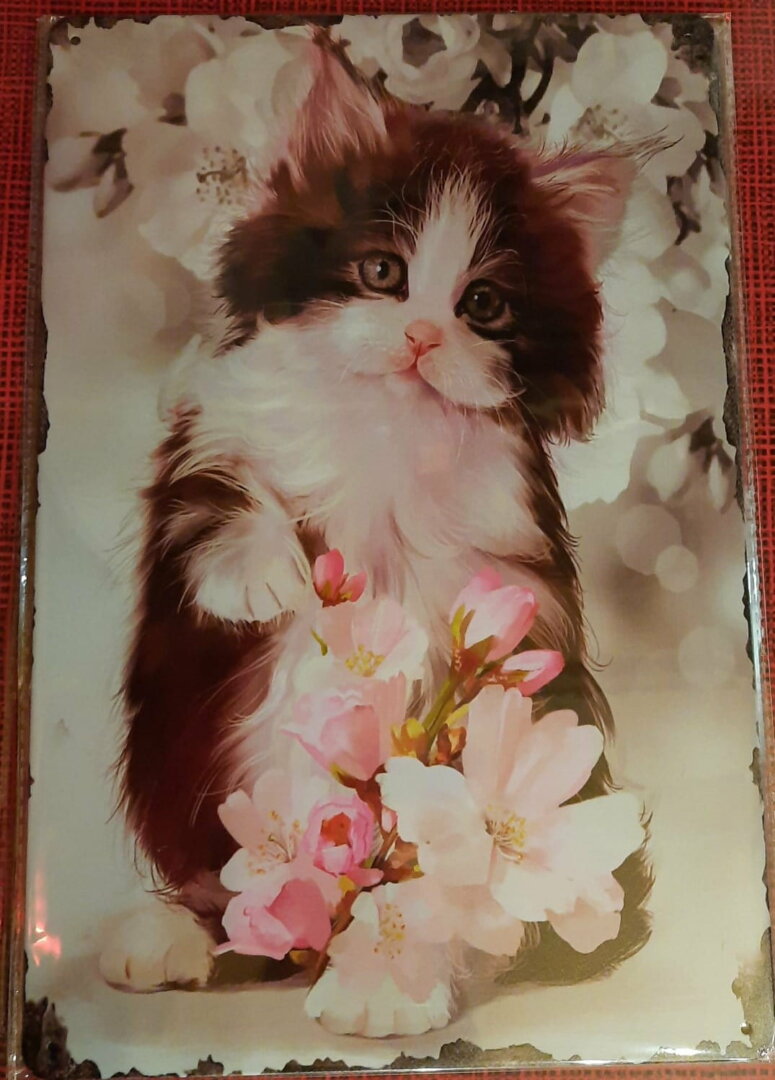 Kitten met roze bloem WW002  Poezen en katten