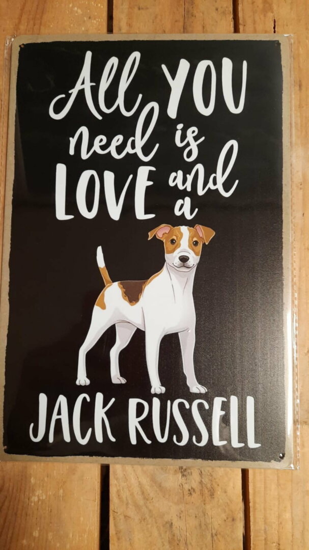 All you need is love and a Jack Russel WW092